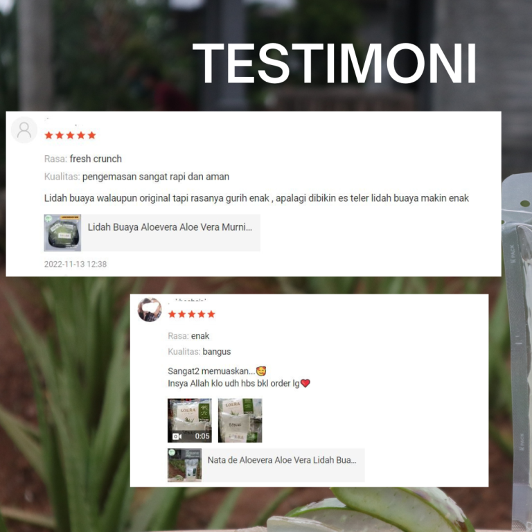 TESTIMONI (1)