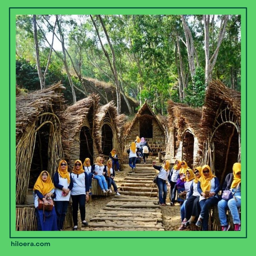 Wisata Hutan Pinus Jogja 1