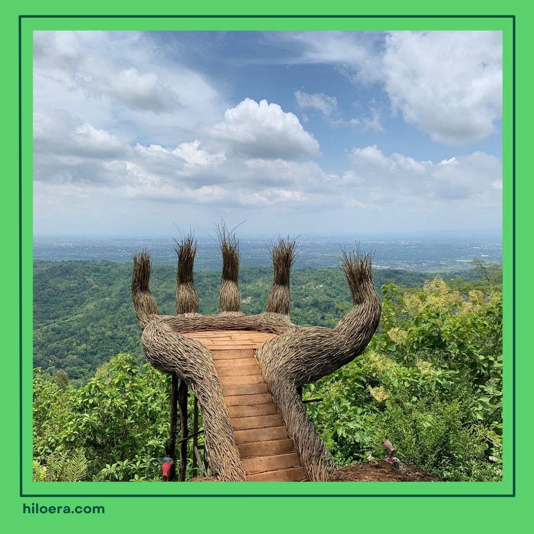 Wisata Hutan Pinus Jogja