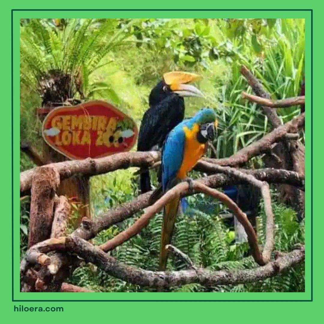 Wisata Ramah Anak di Jogja