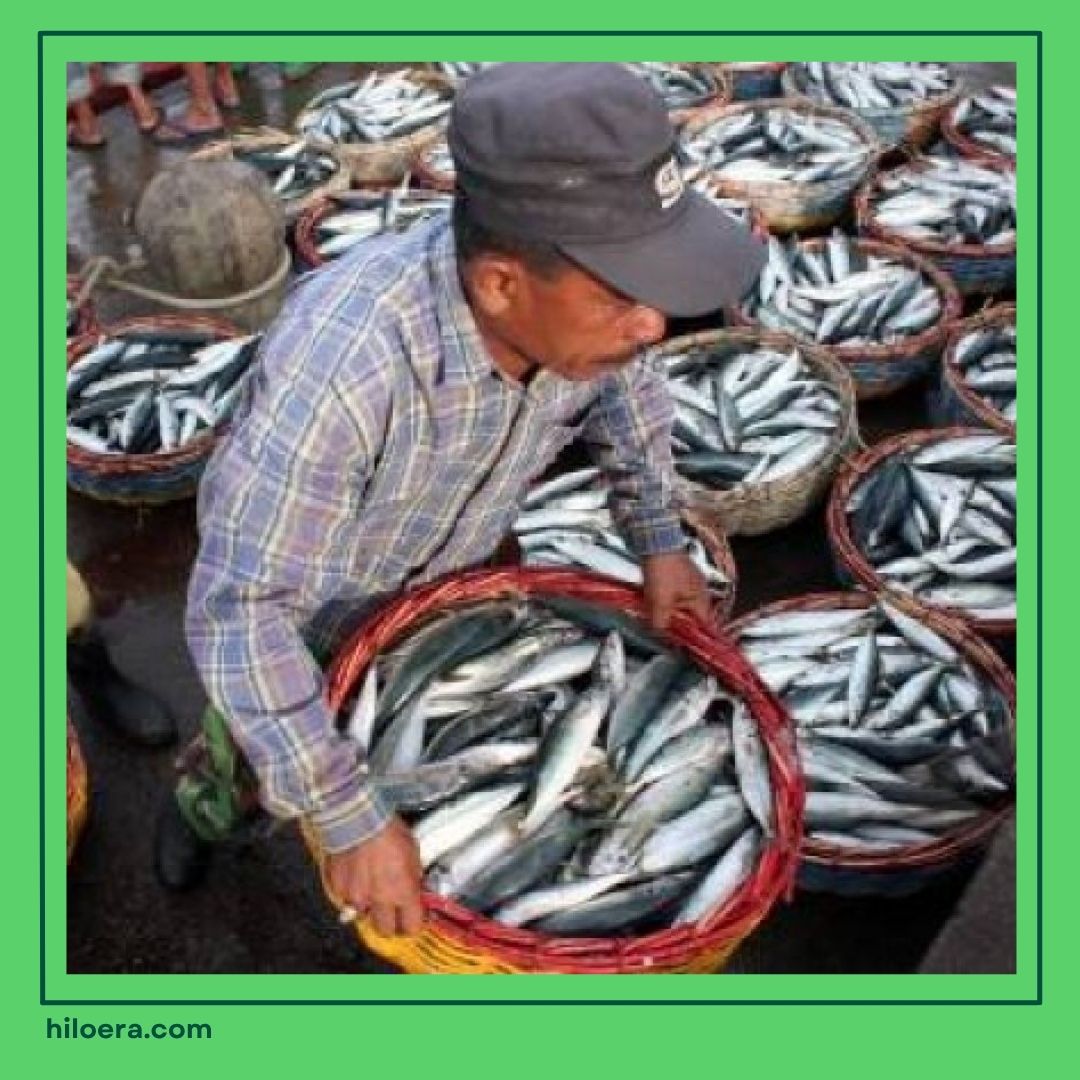 Gunungkidul Penghasil Apa