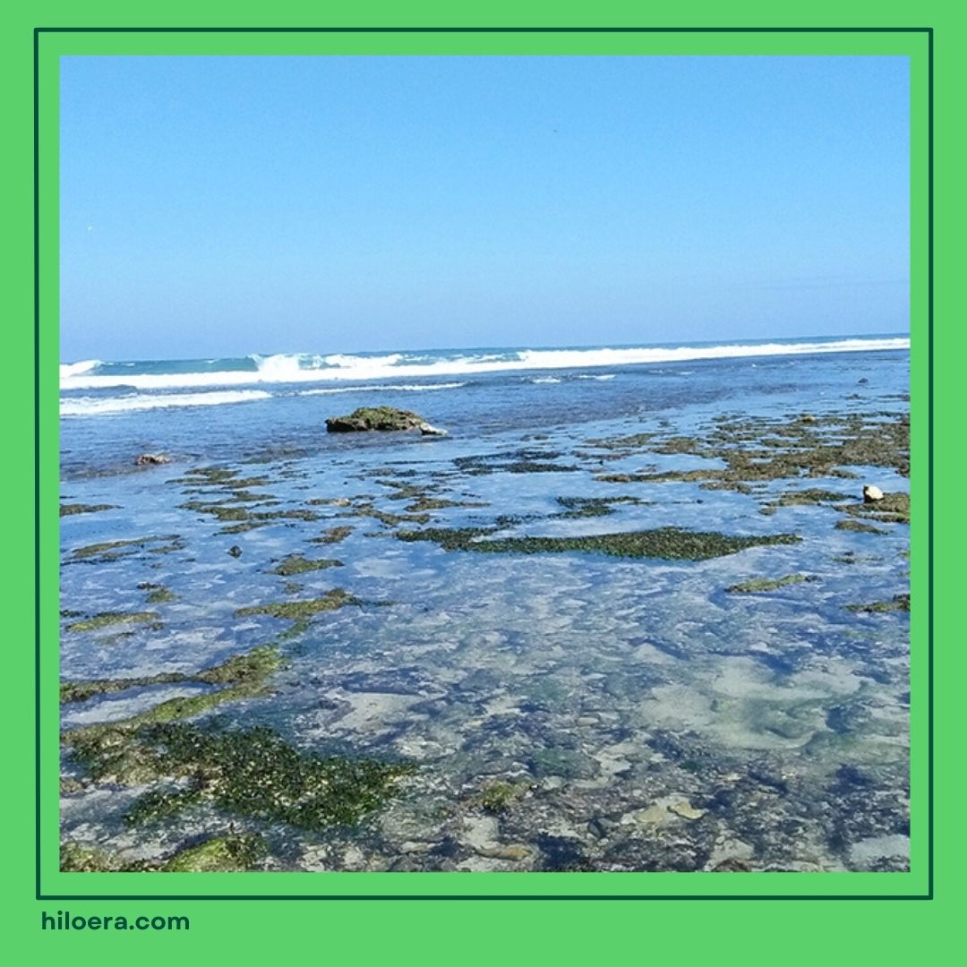 Pantai Sundak Gunung Kidul