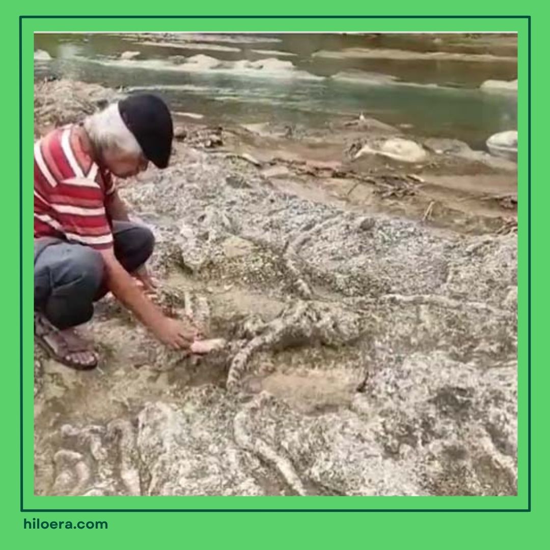 Apakah Gunungkidul Dulunya Laut
