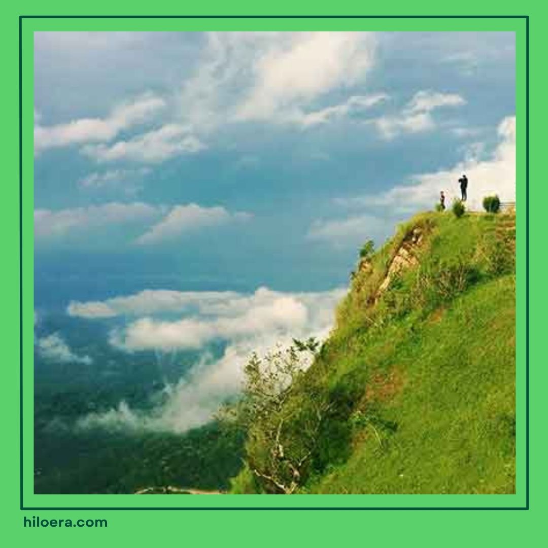 Wisata Puncak yang Lagi Hits