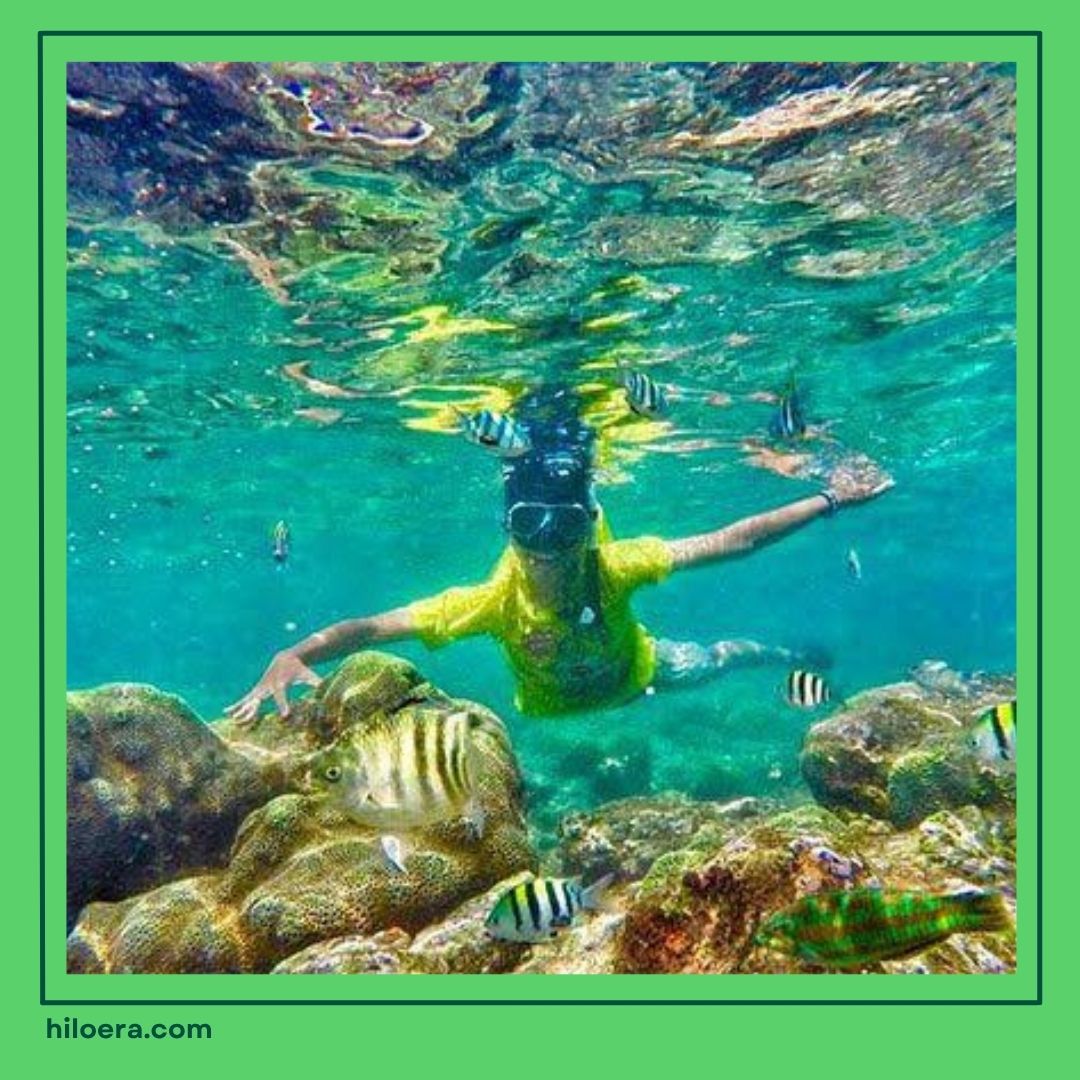 Snorkeling Gunungkidul